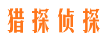 双台子侦探